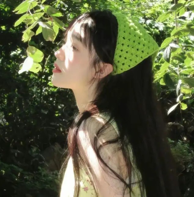 欧栗树